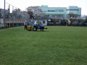 種まきと更新作業