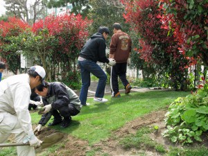 築山の芝生植え作業