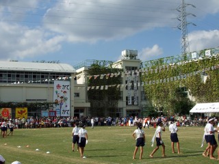 芝生校庭で運動会