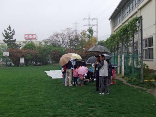 PB芝生の補植