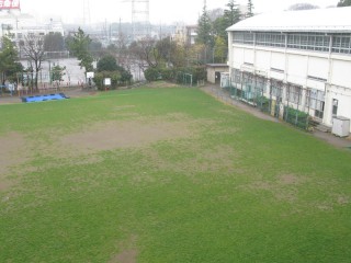 芝生の校庭