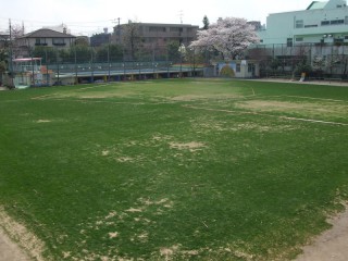 校庭の芝生