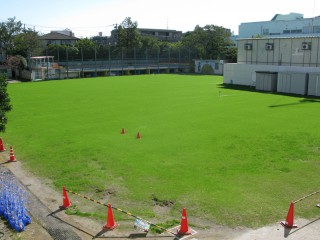 芝生の校庭