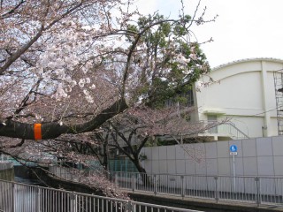 芝生の校庭