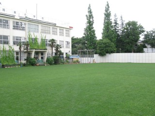 芝生の校庭