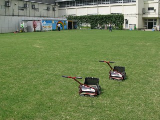 校庭の芝生