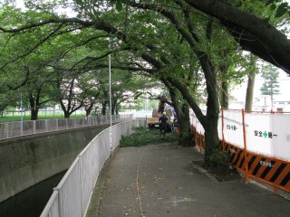 芝生の校庭