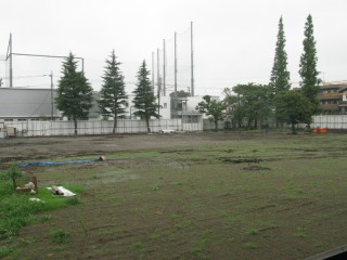 芝生の校庭