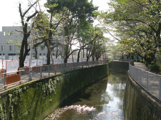 芝生の校庭