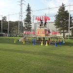 みんなの夏祭り