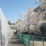 杉並和泉学園