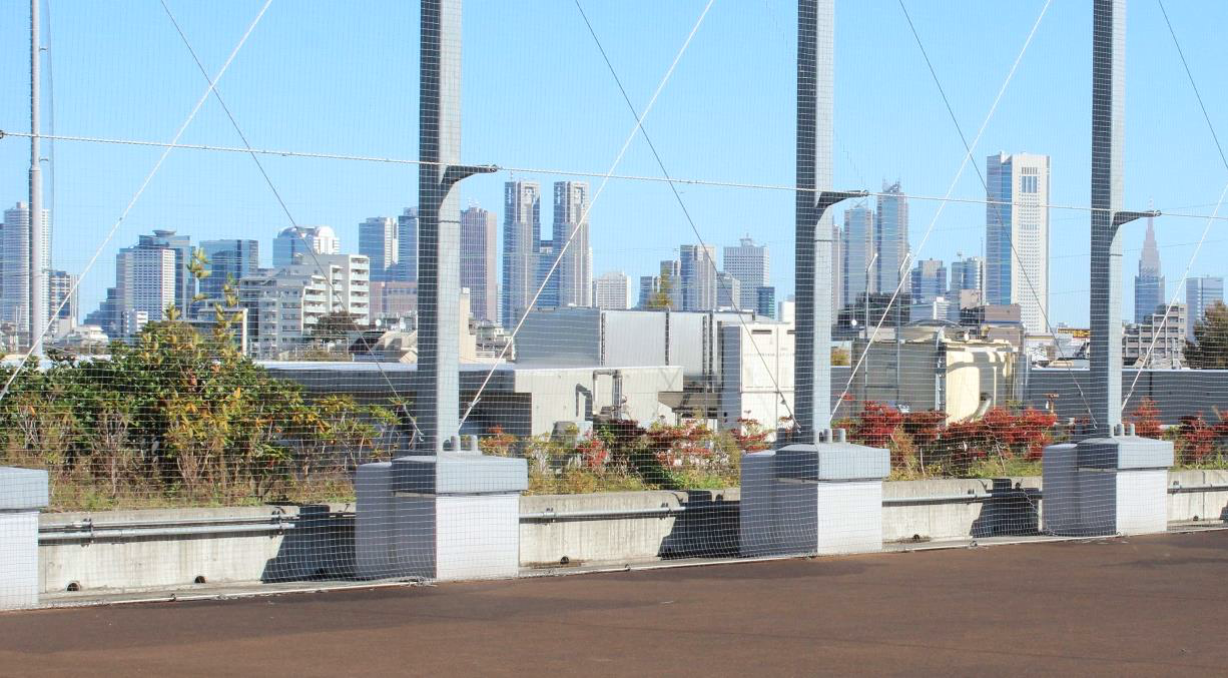 学園からの風景